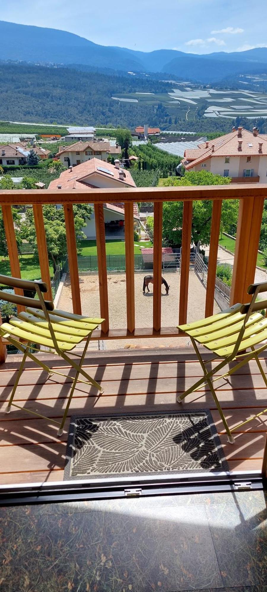 Horse House Bed & Breakfast Romallo Ngoại thất bức ảnh
