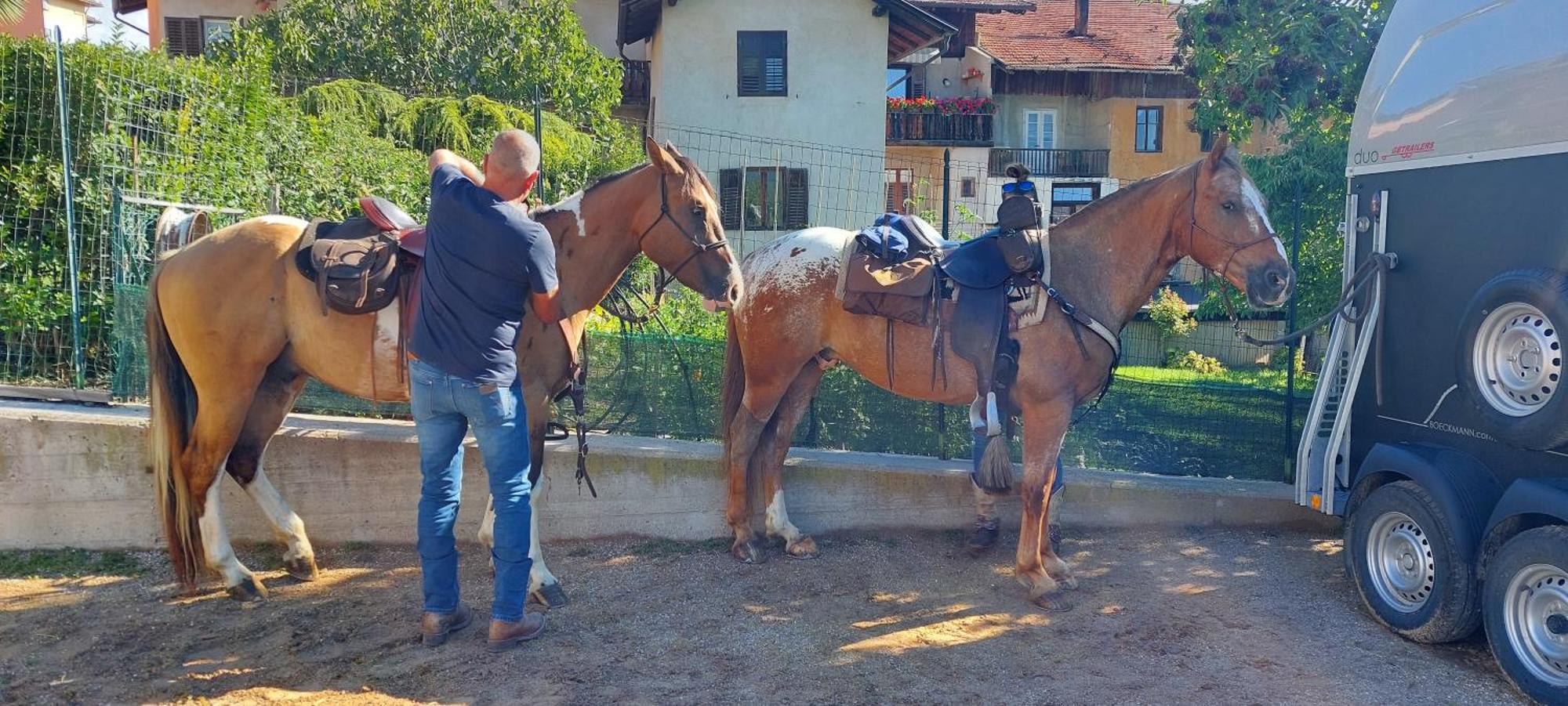 Horse House Bed & Breakfast Romallo Ngoại thất bức ảnh